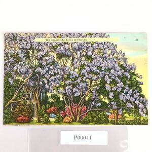 Vintage 1941 Linen Postcard Jacaranda Trees of Florida Purple Flowers Miami